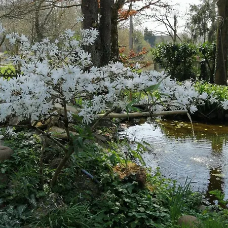 Normand Le Merle Blanc 2 A 6 Personnes Сasa de vacaciones Pierrepont (Calvados)
