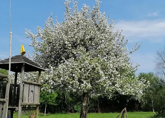 Semesterbostad Normand Le Merle Blanc 2 A 6 Personnes