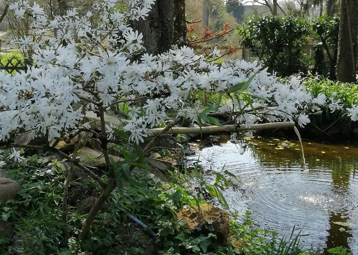 Normand Le Merle Blanc 2 A 6 Personnes Semesterbostad Pierrepont (Calvados)
